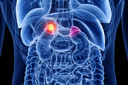 Novo medicamento reduz a necessidade de esteroides na hiperplasia adrenal cong&ecirc;nita