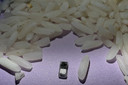 Novo modelo de marca-passo &eacute; o menor do mundo, do tamanho de um gr&atilde;o de arroz, e &eacute; ativado pela luz