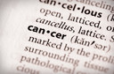 O que h&aacute; de novo em oncologia: confira os principais avan&ccedil;os divulgados nos &uacute;ltimos meses