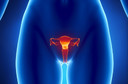 Ooforectomia bilateral na pr&eacute;-menopausa aumenta o risco de parkinsonismo e doen&ccedil;a de Parkinson