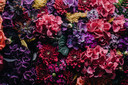 Presentear pacientes internados com flores n&atilde;o &eacute; uma boa op&ccedil;&atilde;o. Em hospitais, as flores representam riscos de infec&ccedil;&atilde;o.