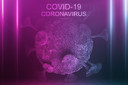 STI-1499, um potente anticorpo anti-SARS-CoV-2, demonstra capacidade de inibir completamente a infec&ccedil;&atilde;o pelo v&iacute;rus in vitro em estudos pr&eacute;-cl&iacute;nicos