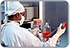 HB-19: mol&eacute;cula sint&eacute;tica que ajuda a inibir o crescimento tumoral &eacute; estudada por cientistas franceses