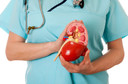 Transplante renal sem imunossupress&atilde;o por toda a vida se aproxima da realidade