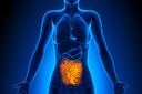 Transplantes de microbiota fecal aliviam a s&iacute;ndrome do intestino irrit&aacute;vel por tr&ecirc;s anos