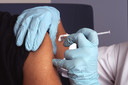 Vacina viva atenuada de dose &uacute;nica contra chikungunya gerou forte resposta imune