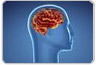 Esquizofrenia: muta��es gen�ticas raras interrompem o desenvolvimento cerebral