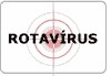 Pesquisador brasileiro descobre m�todo r�pido, barato e eficaz para identificar o Rotav�rus